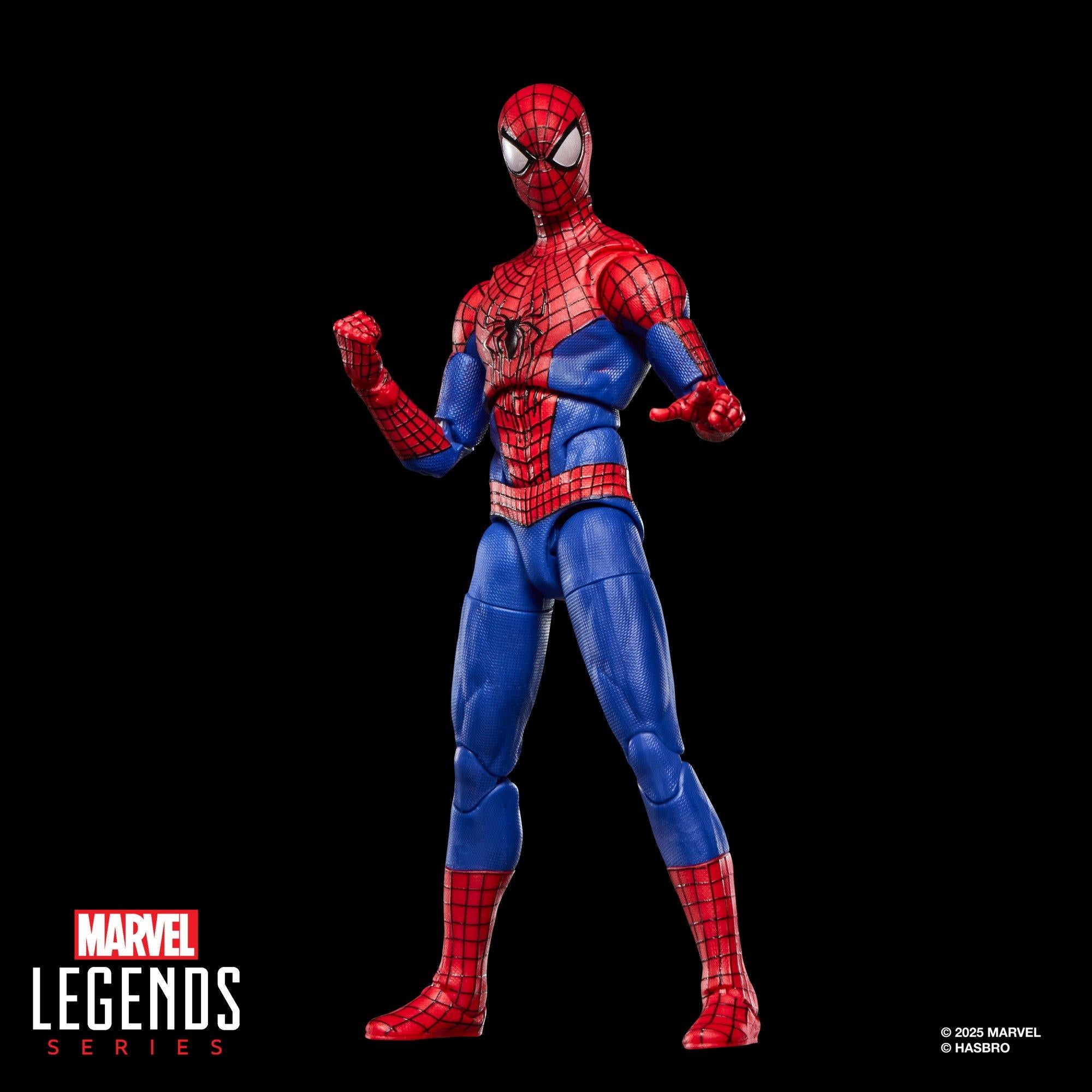 Marvel Legends Series The Amazing Spider-Man